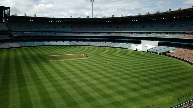 静应对能力 静应对能力