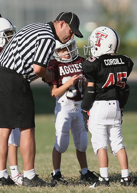 这场公牛V 这场公牛V