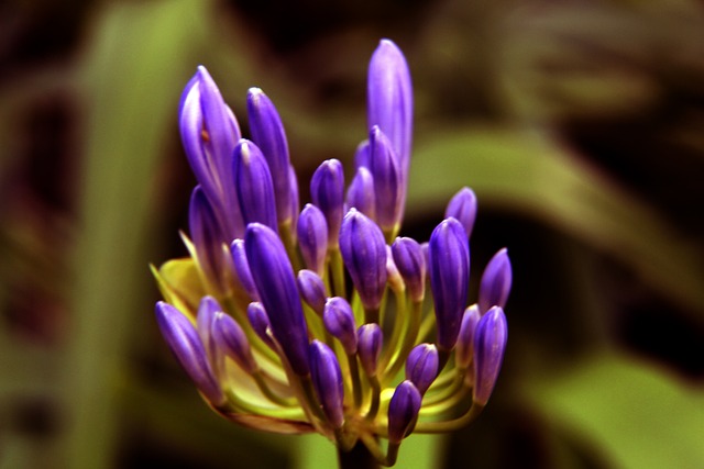 巅峰表现 巅峰表现