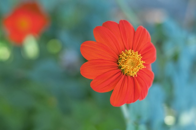 記者：阿森納欲長期留拉姆斯代爾，除非尋得同級門將！.