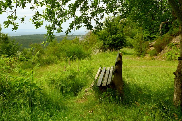 記者：阿森納欲長期留拉姆斯代爾，除非尋得同級門將！.