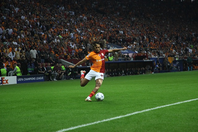 数明星球员 数明星球员