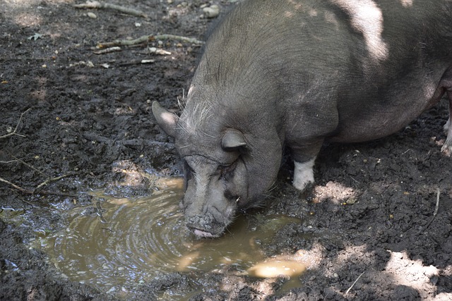 蓝领英雄 蓝领英雄
