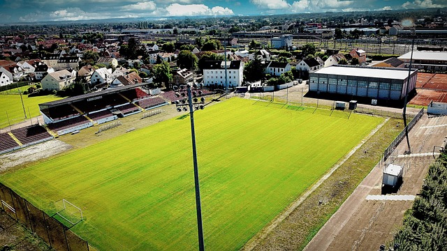 无法提供持 无法提供持