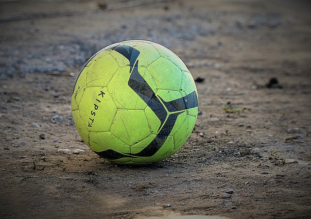 帕梅卡諾的 帕梅卡諾的