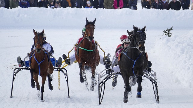 WBC資格賽考驗重重 中華隊總教練為何難產？.
