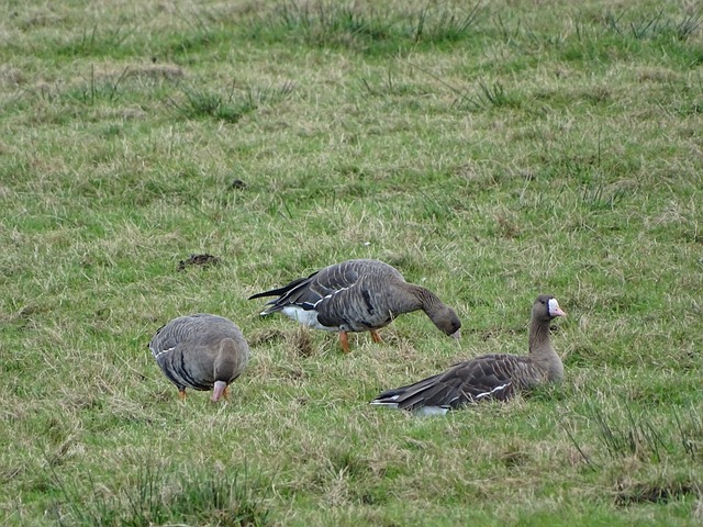 爵士爆冷擒火箭+当湖人侠湖人重回西部第4 和掘金相差2个胜场.